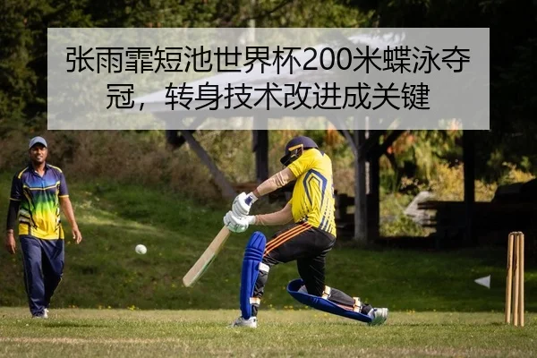 张雨霏短池世界杯200米蝶泳夺冠，转身技术改进成关键